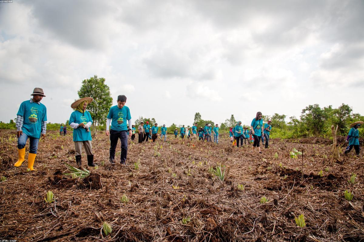 Luxury real estate and property investment