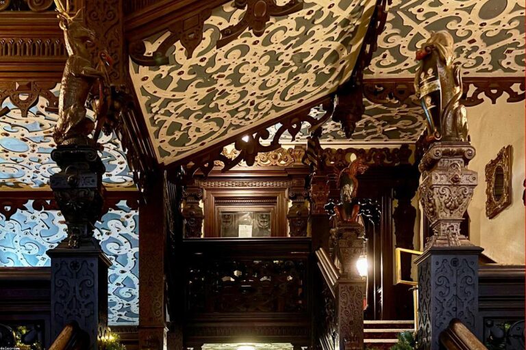 Aurora - Net Worth and Financial Profile