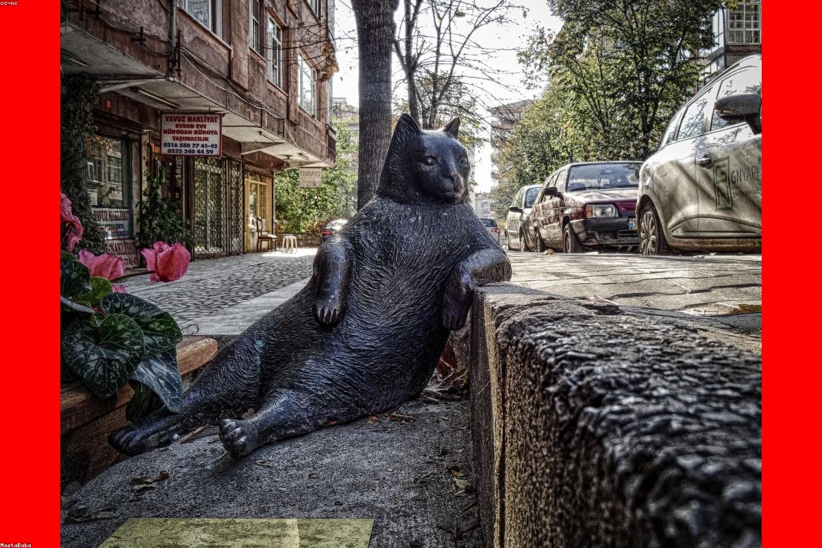 Barstool Big Cat wealth profile