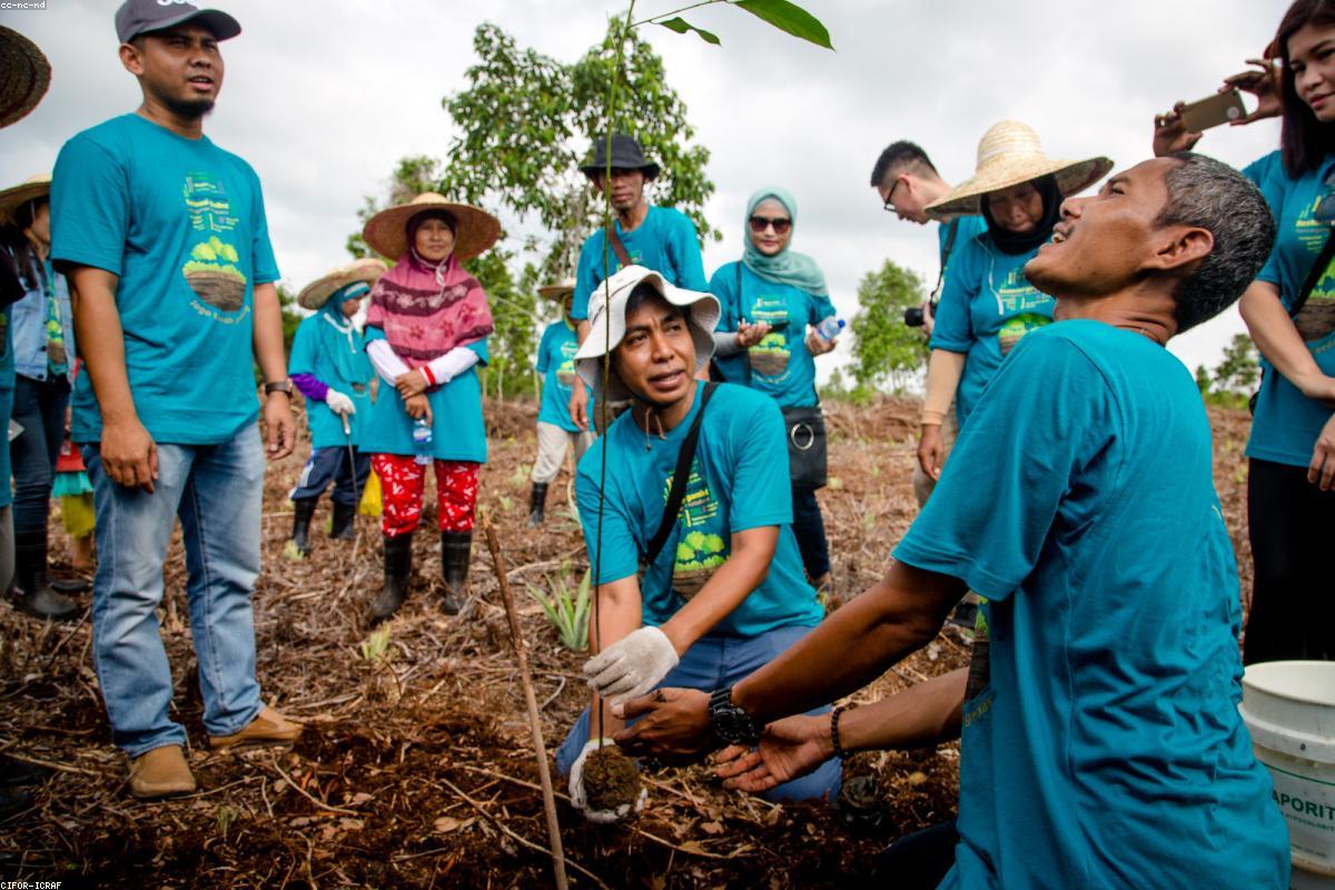 Luxury real estate and property investment