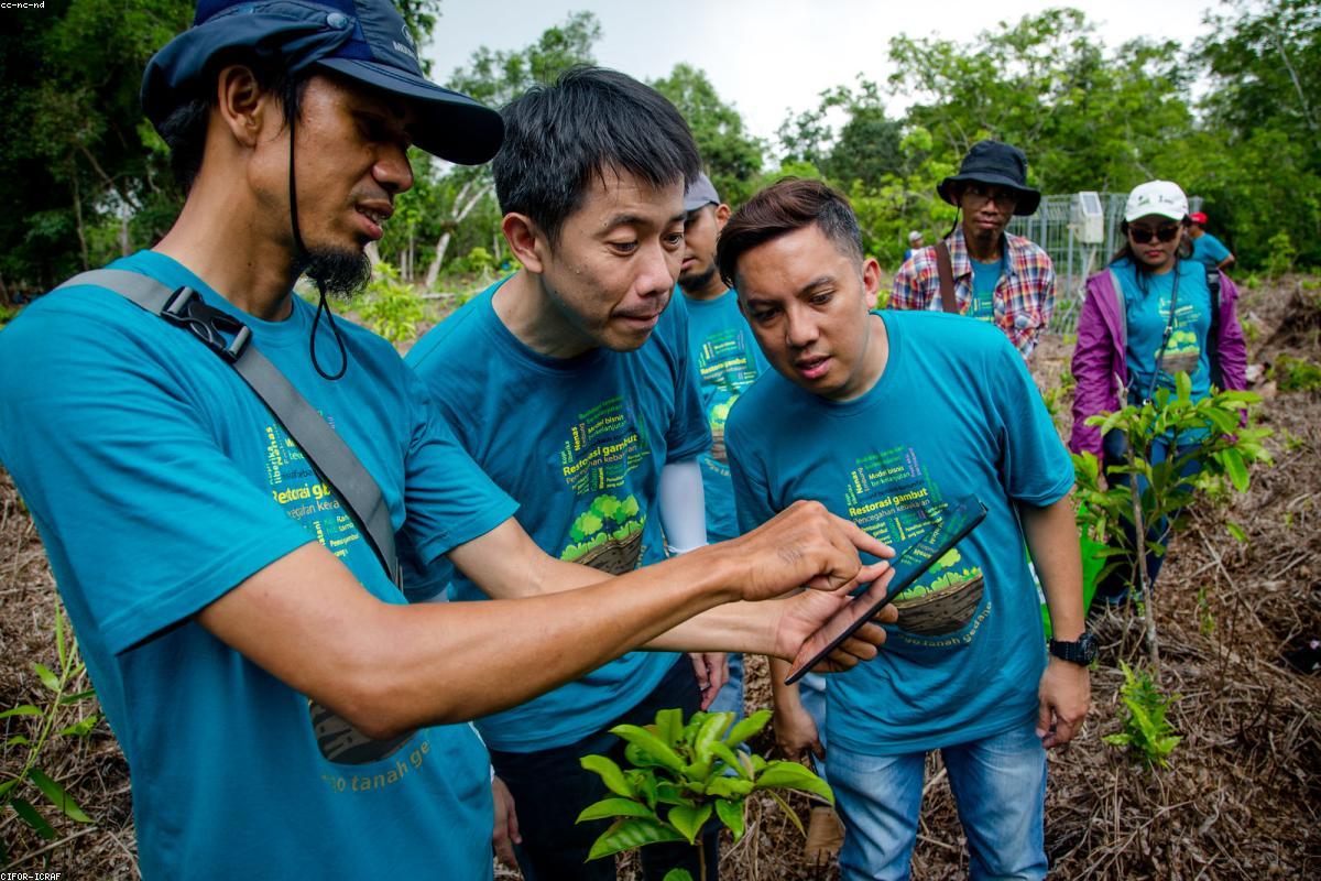 Luxury real estate and property investment