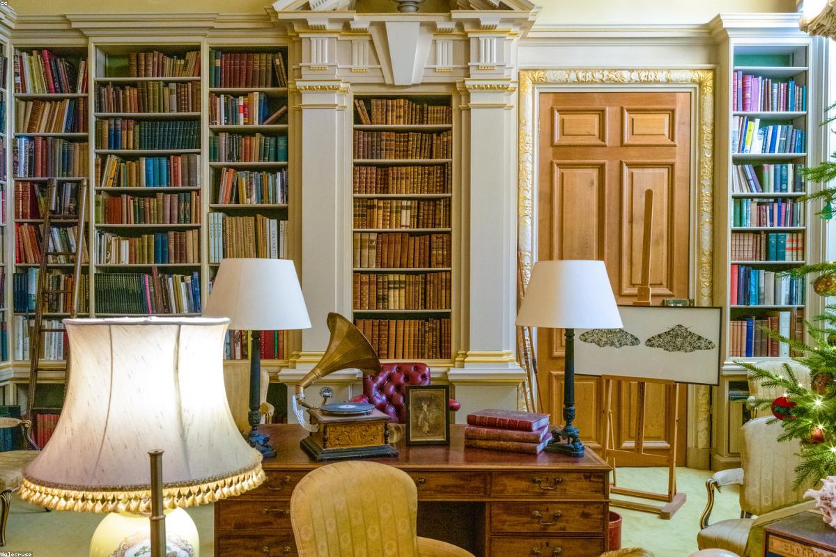 Denzel Washington wealth profile