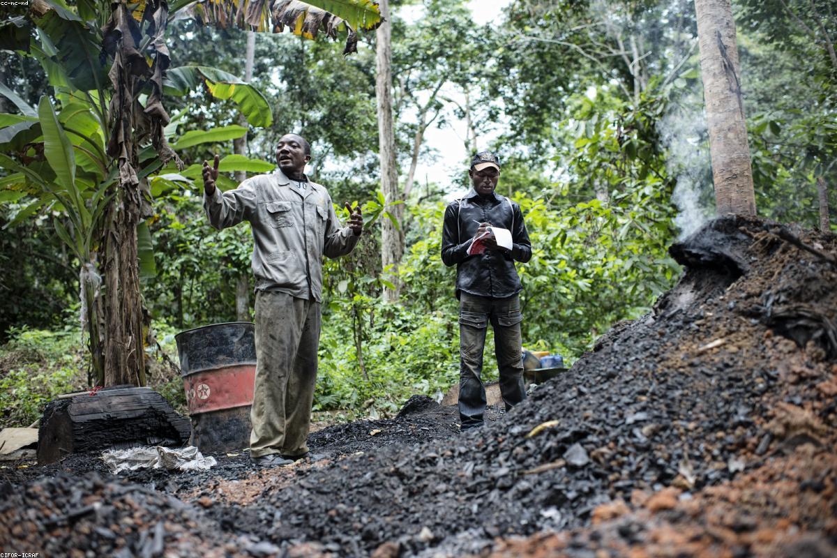 Luxury real estate and property investment