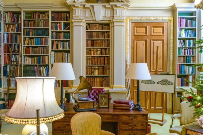 Donna Karan - Net Worth and Financial Profile