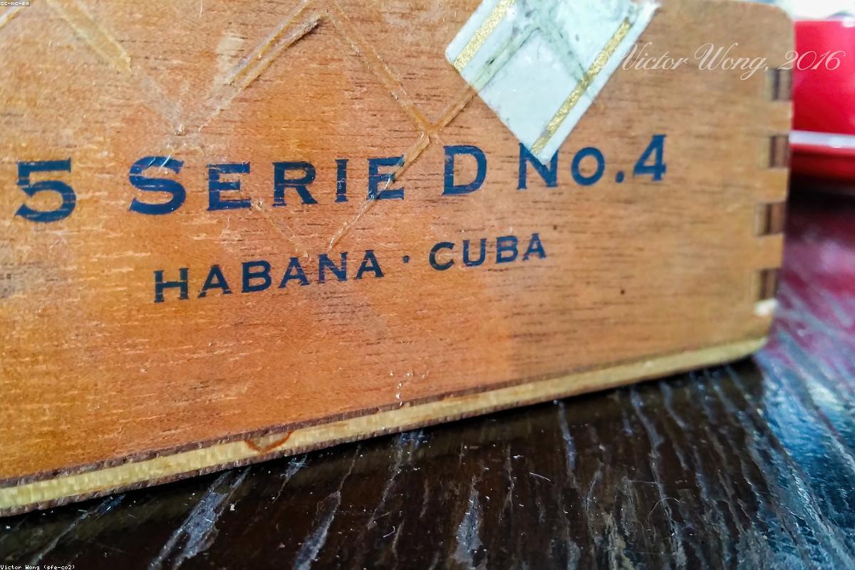 Georges St-pierre wealth profile