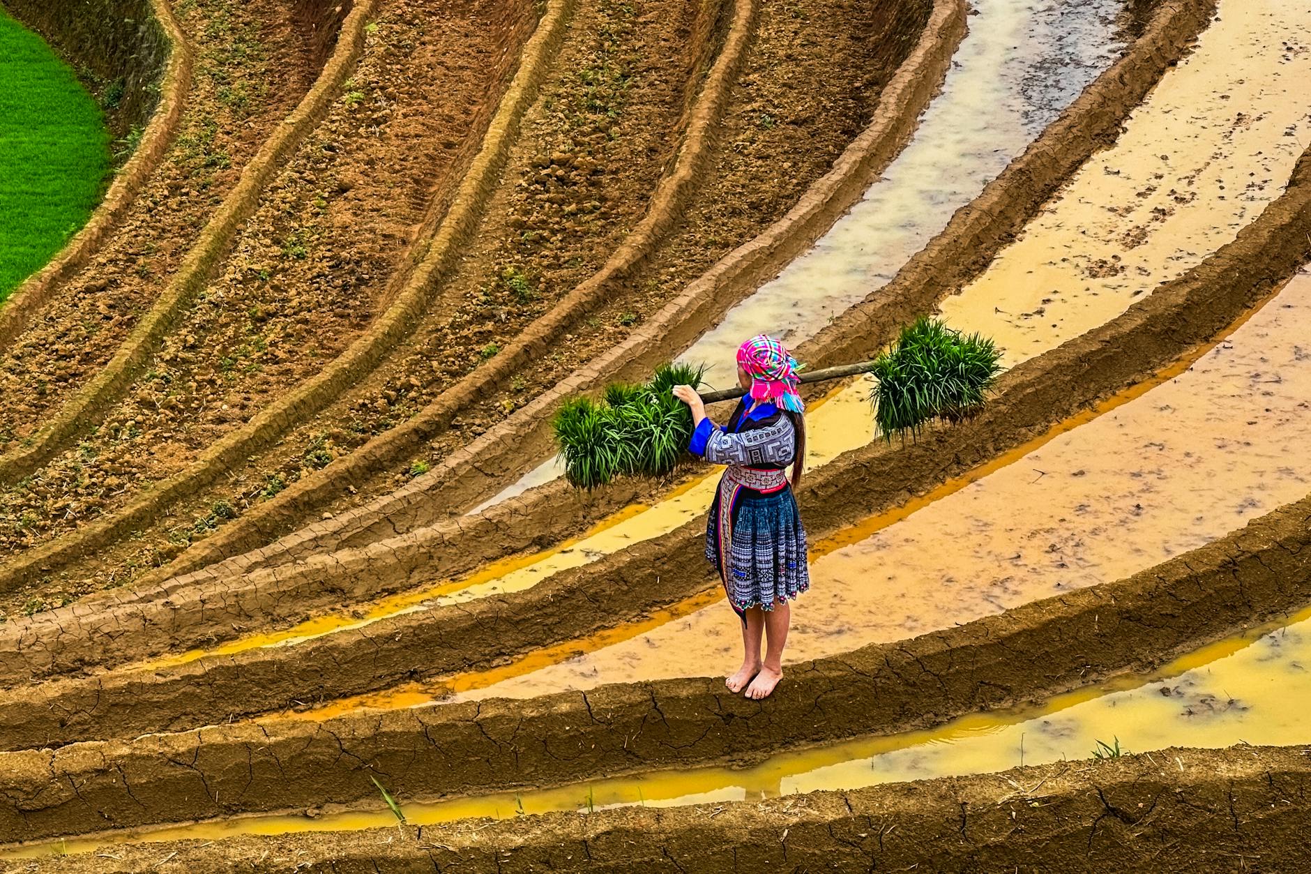 How Did Adele Build Her $220 Million Net Worth?