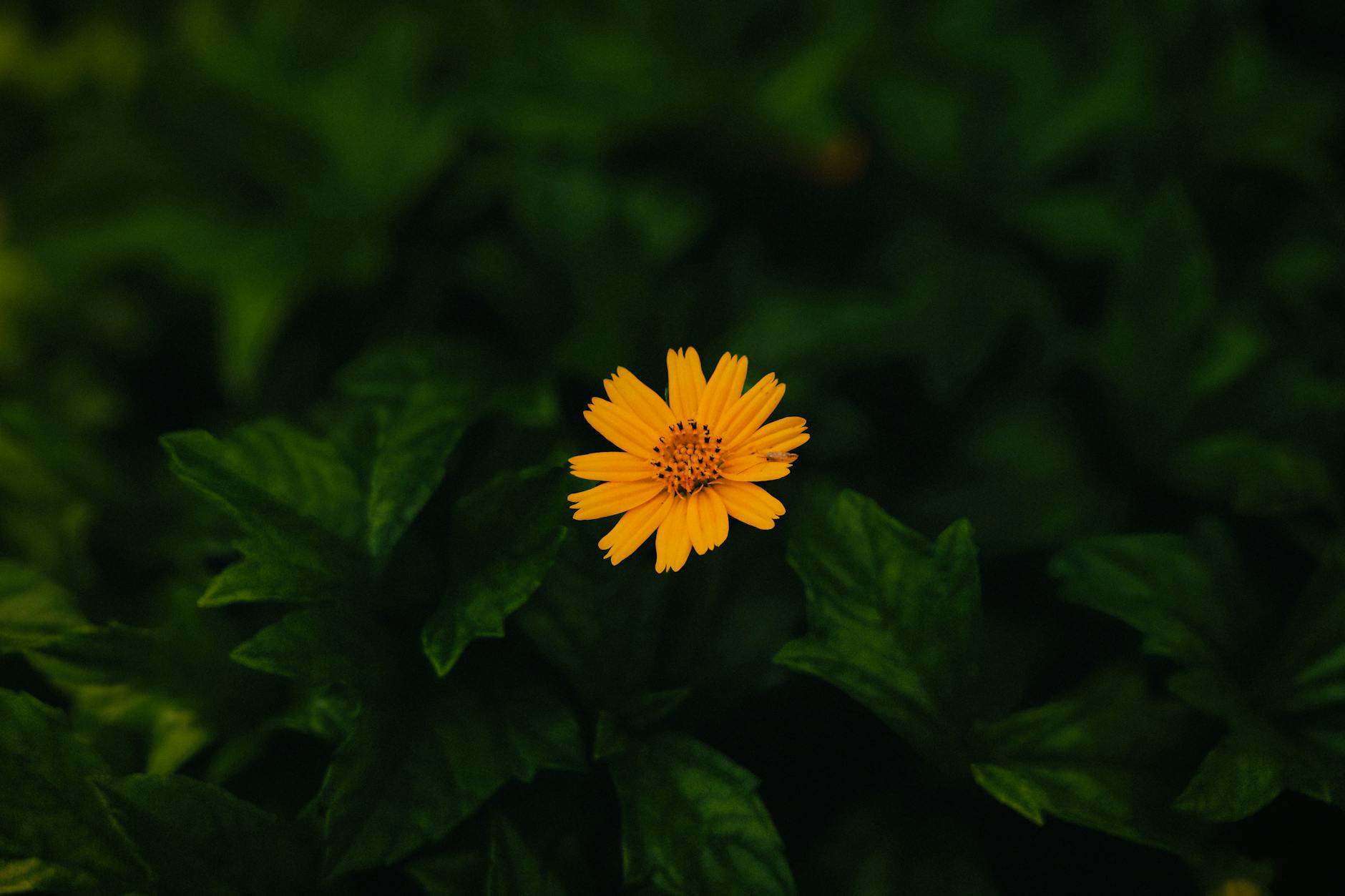 How Did Joe Biden Build His Net Worth Over Time?