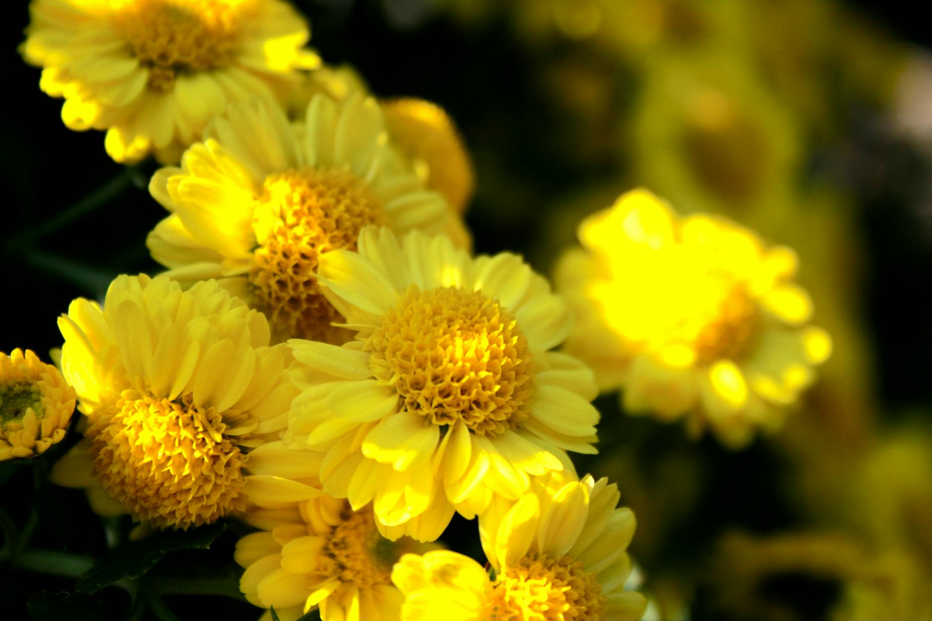 How Did Scarlett Johansson Build a $165 Million Net Worth?