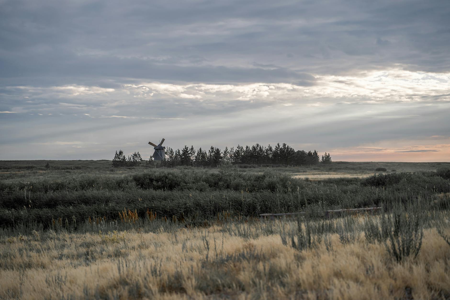 How Did Sergey Brin Build a Net Worth Exceeding $200 Billion?