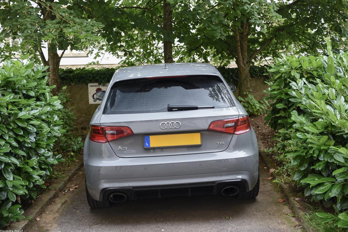 Kelly Slater wealth profile