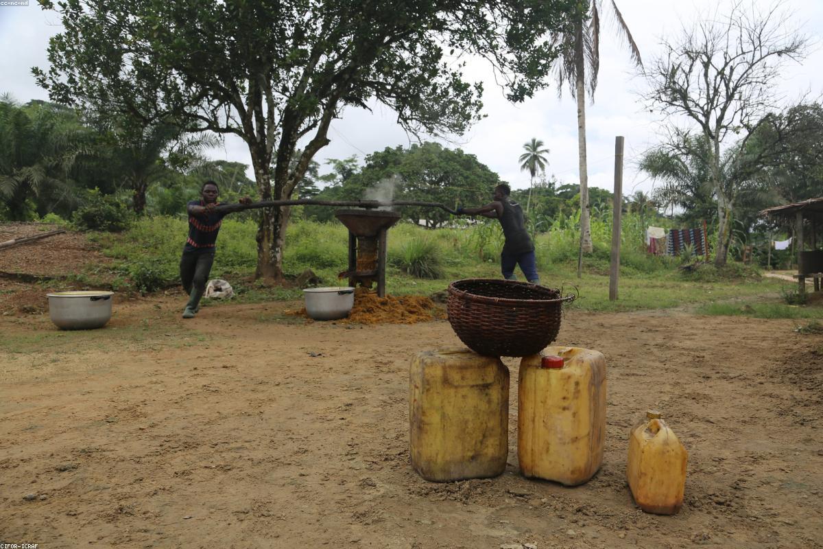 Luxury real estate and property investment