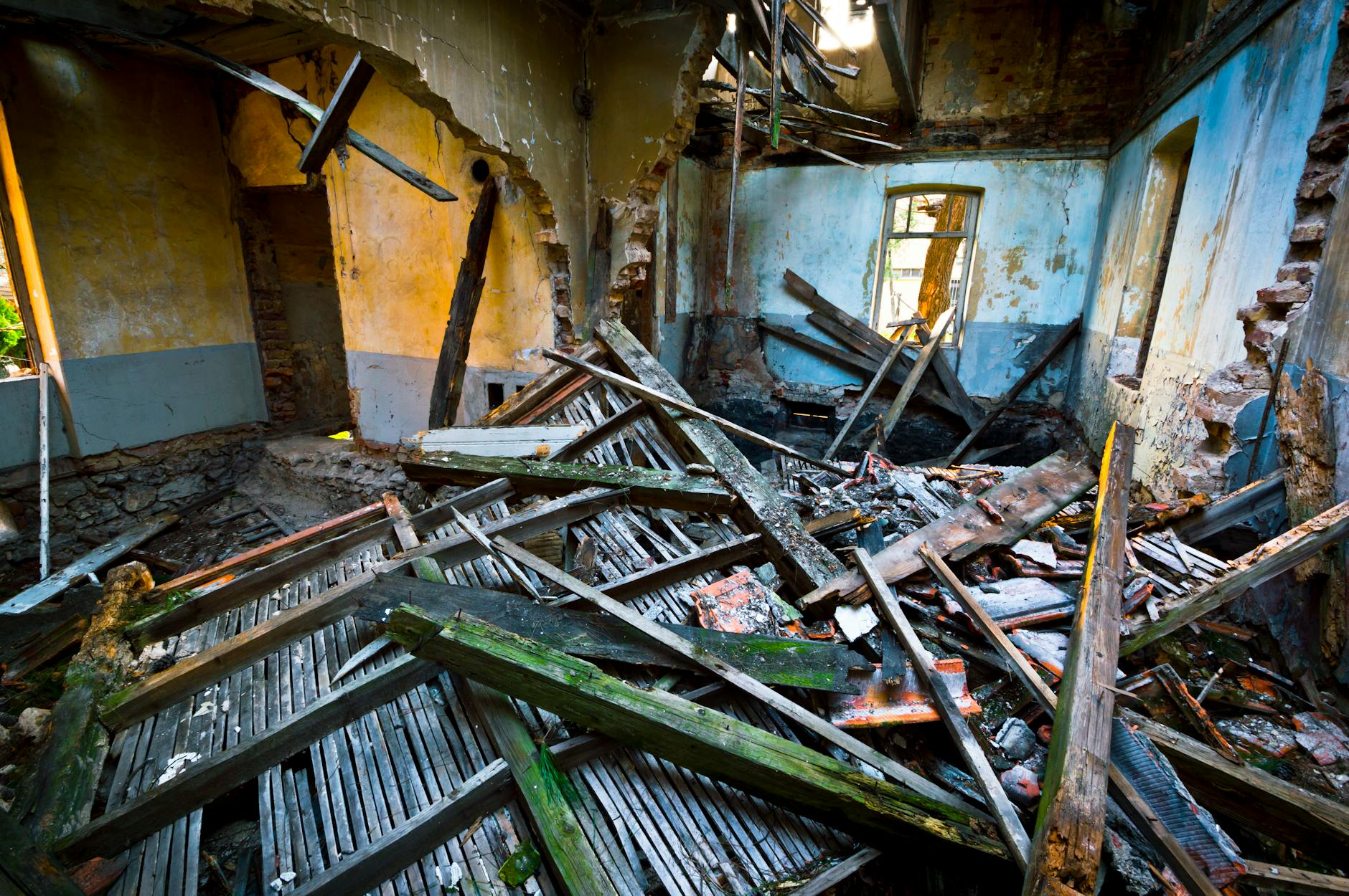 Leonardo DiCaprio's Investment Portfolio and Business Ventures