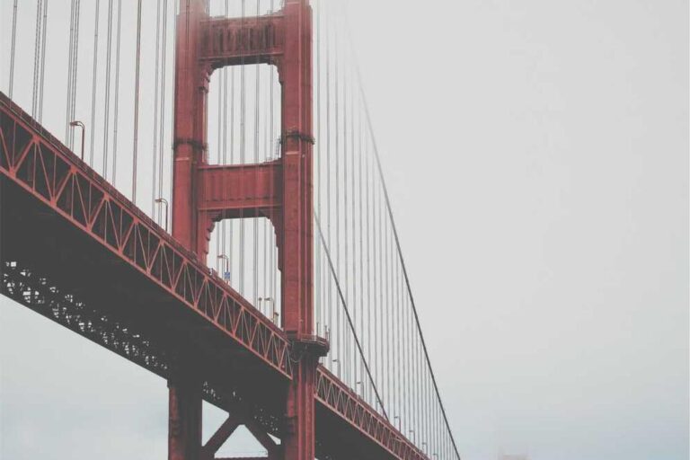 Olivia Rodrigo Net Worth - Featured image