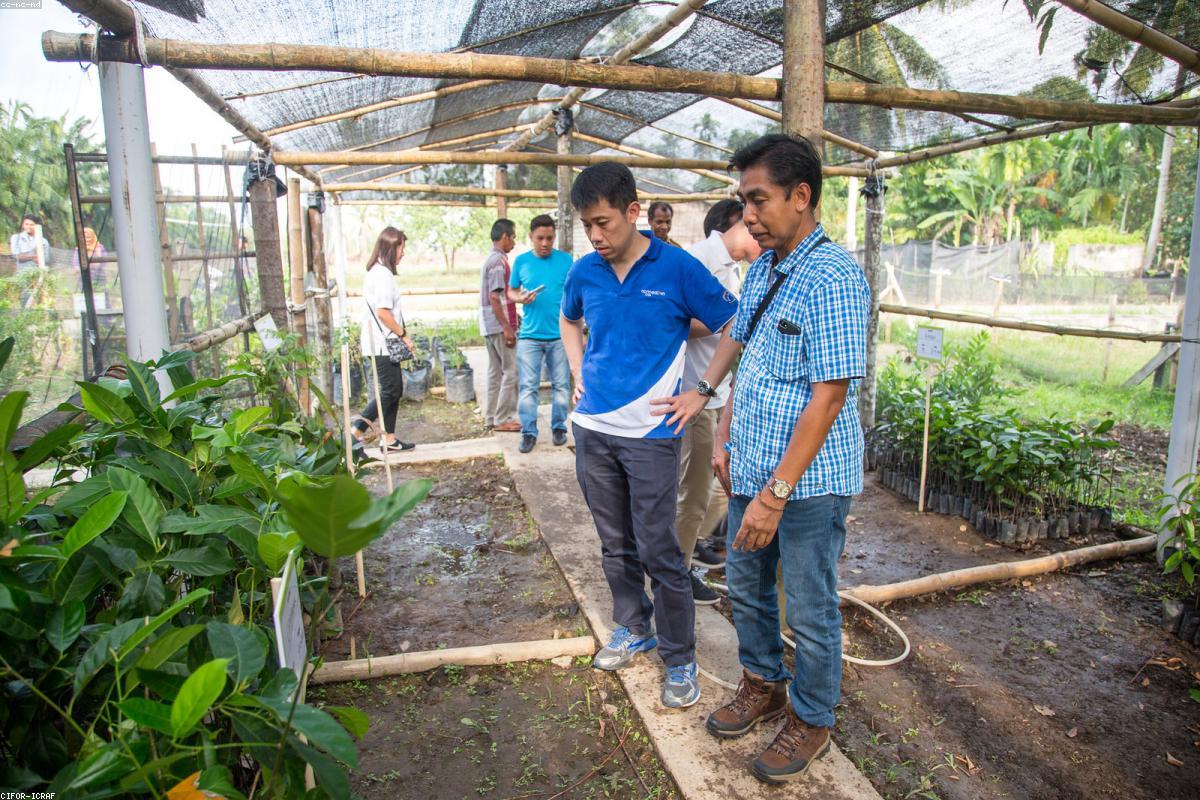 Luxury real estate and property investment