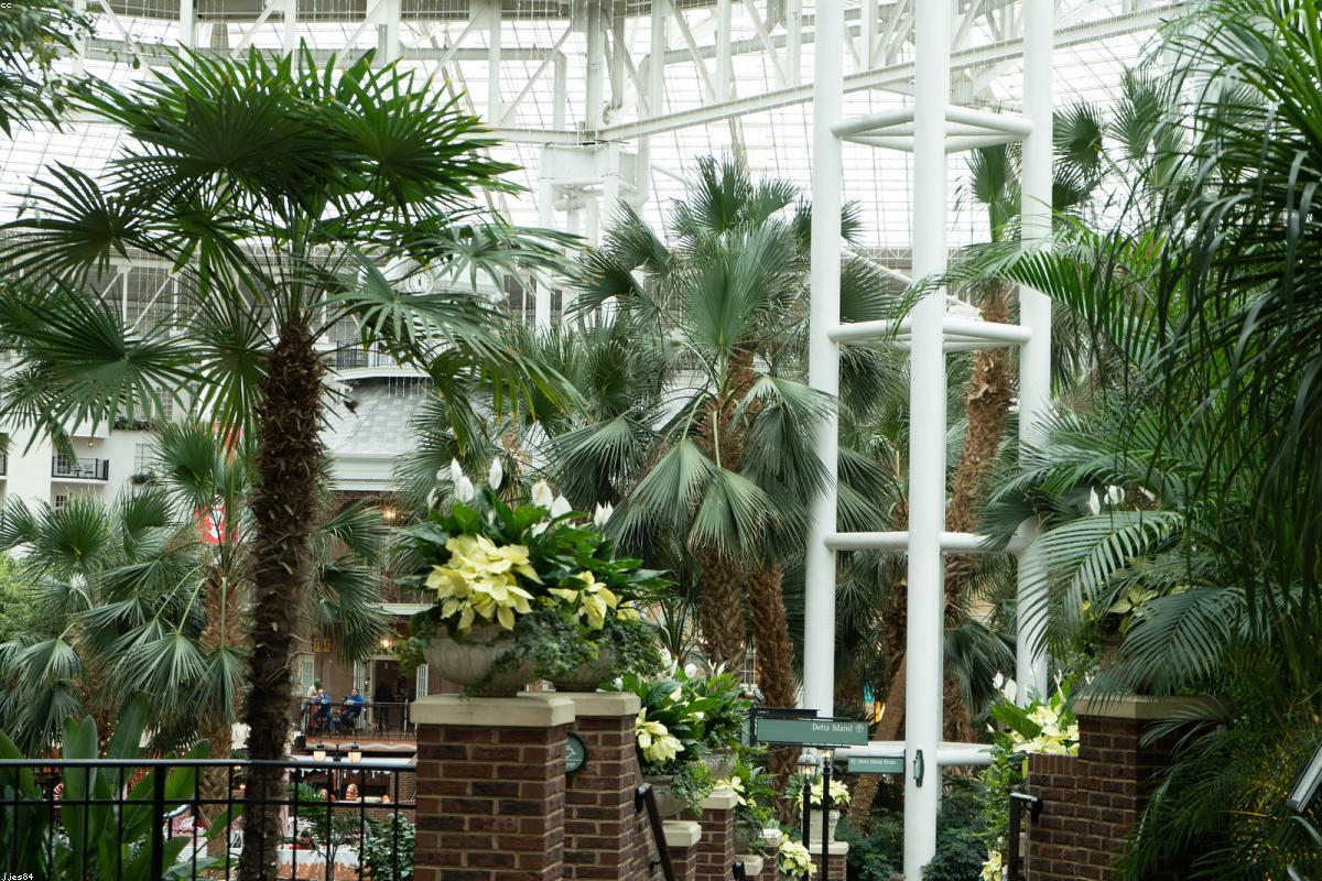 Financial success and wealth building concept