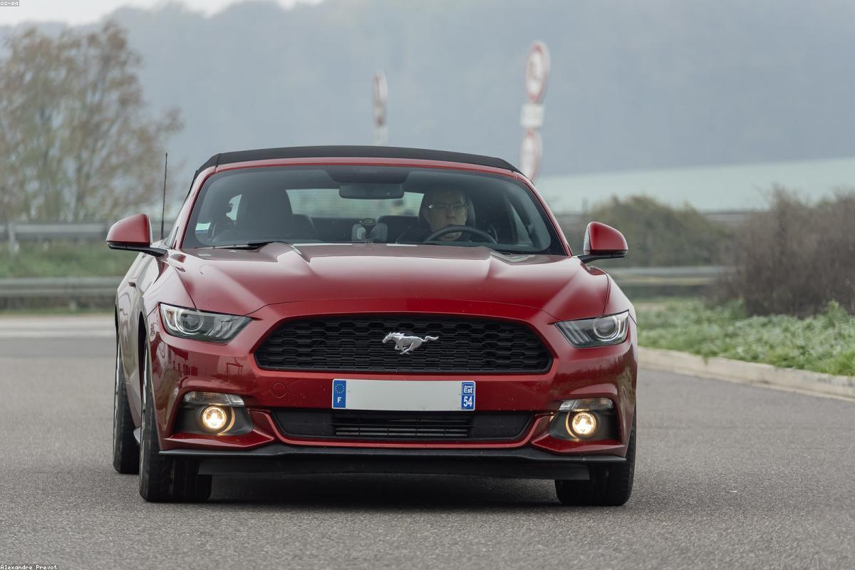 Rudy Mancuso wealth profile