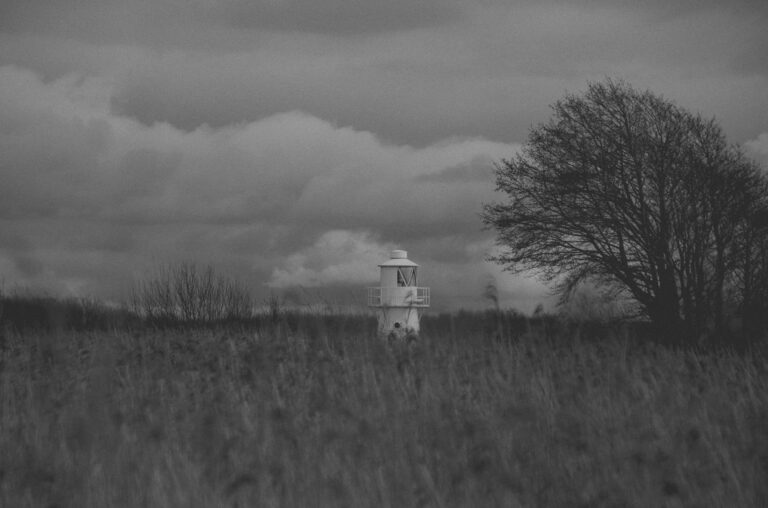 Steve Nash Net Worth 2025: Complete Breakdown - Featured image