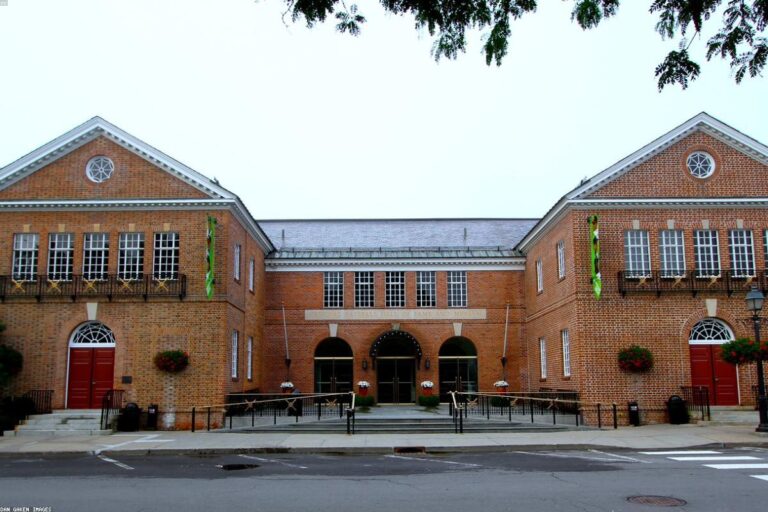 Tiger Woods - Net Worth and Financial Profile