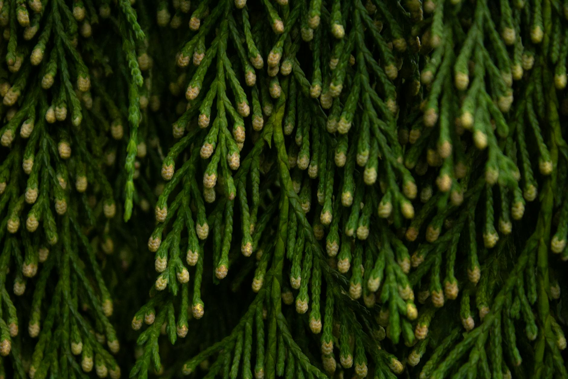 How Did Safra Catz Build Her Multi-Billion Dollar Net Worth?