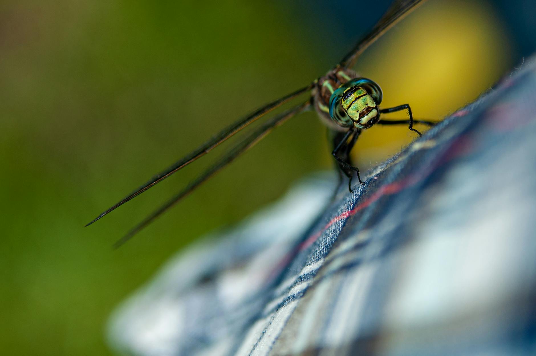 How Much Is Interactive Brokers Actually Worth on the Stock Market?