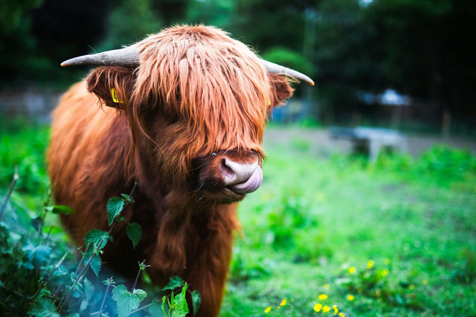 How Much Is Yahoo Finance Worth as Part of Yahoo's Corporate Empire?