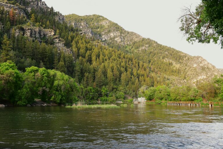 What Is the Net Worth of Logan Paul - Featured image