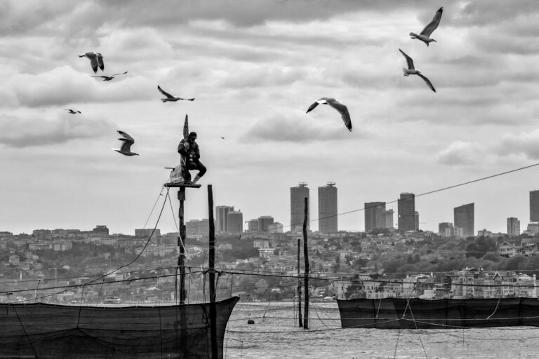 What Is the Net Worth of Post Malone - Featured image