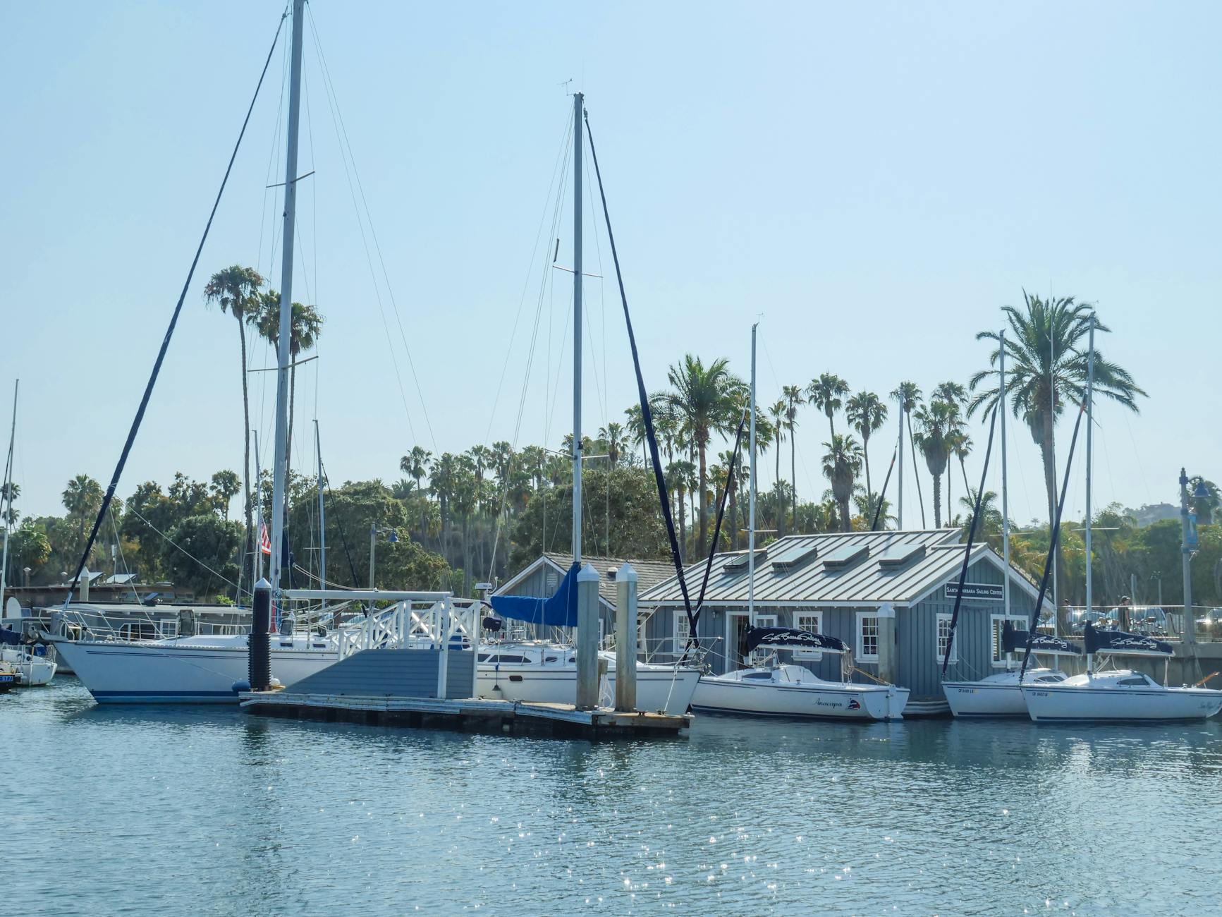 Why Net Worth Estimates for Maye Musk Vary So Widely