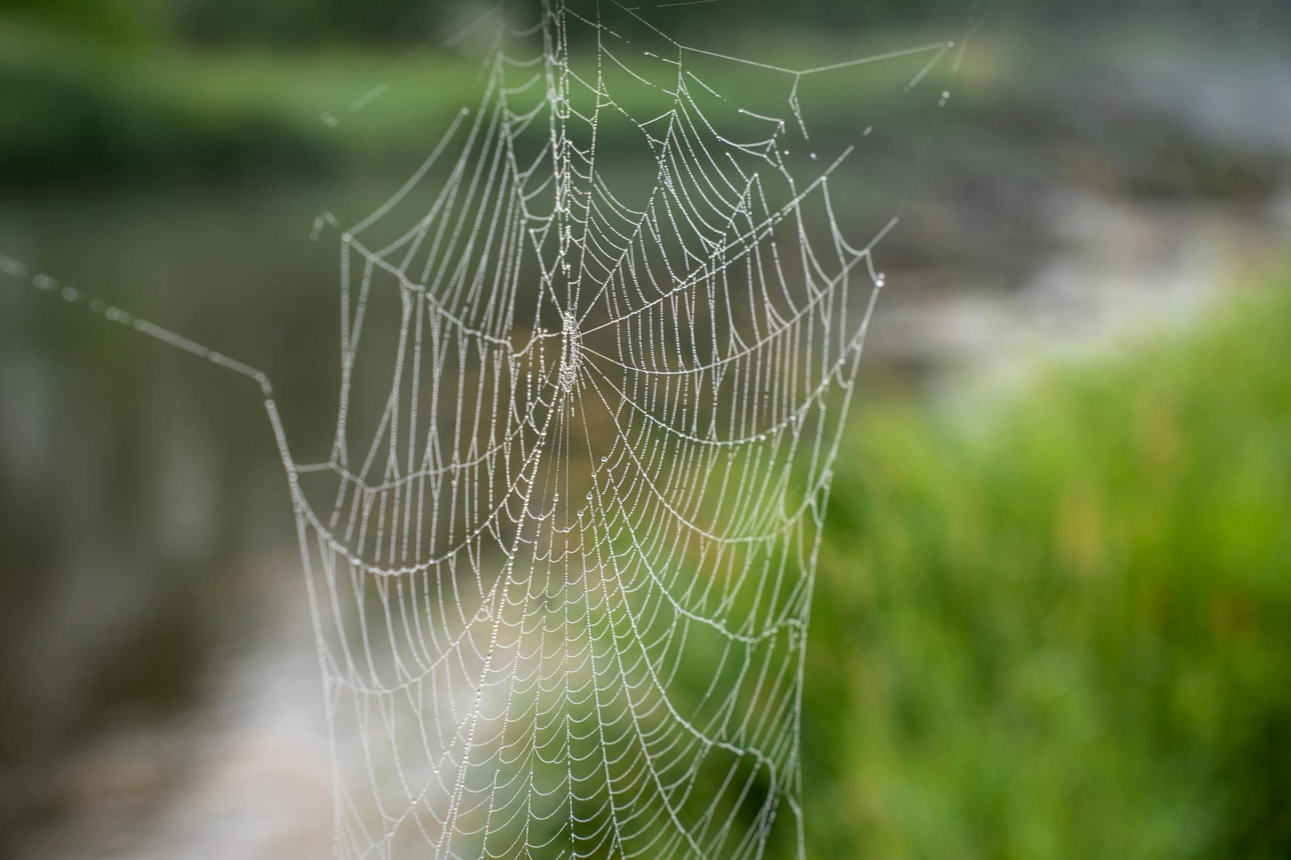 IPO Details and What They Tell Us About Eikon's Trajectory