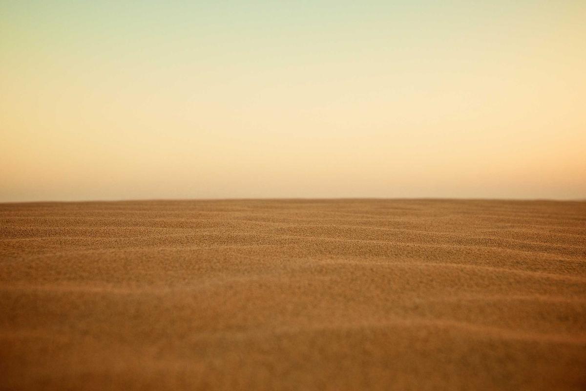 AI Content Licensing and New Revenue Streams