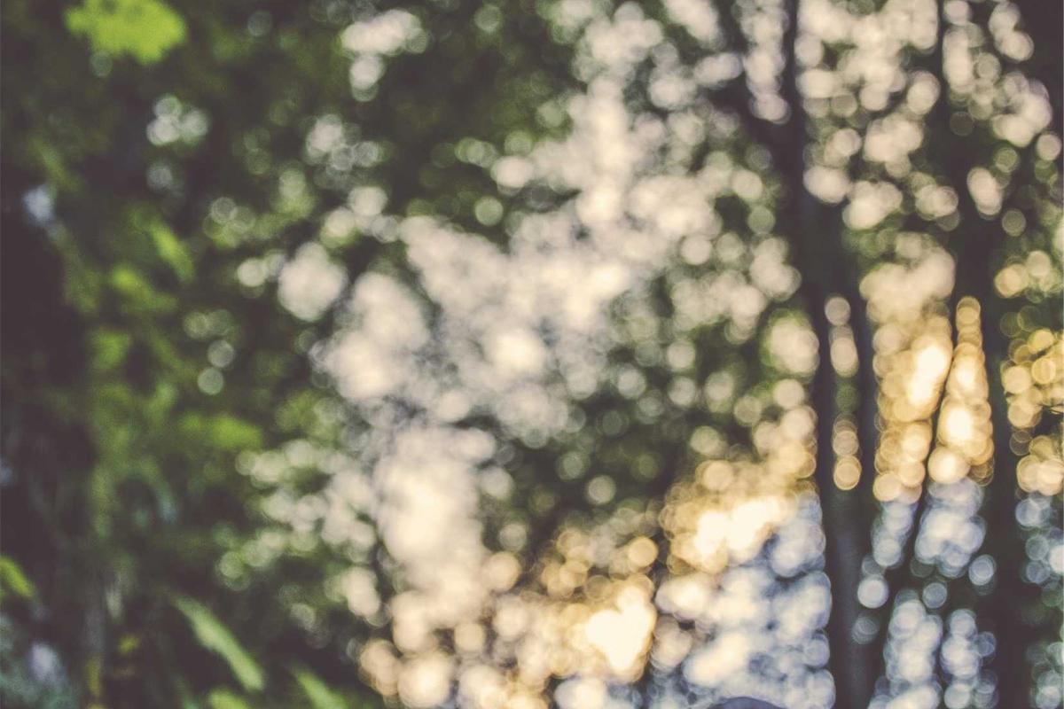 Company Structure and Operational Efficiency Indicators