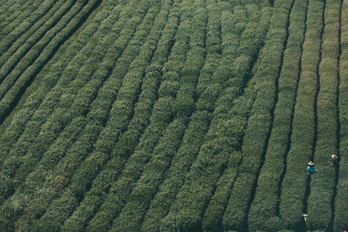 Comparing FactSet's Worth to Competitors and Industry Benchmarks