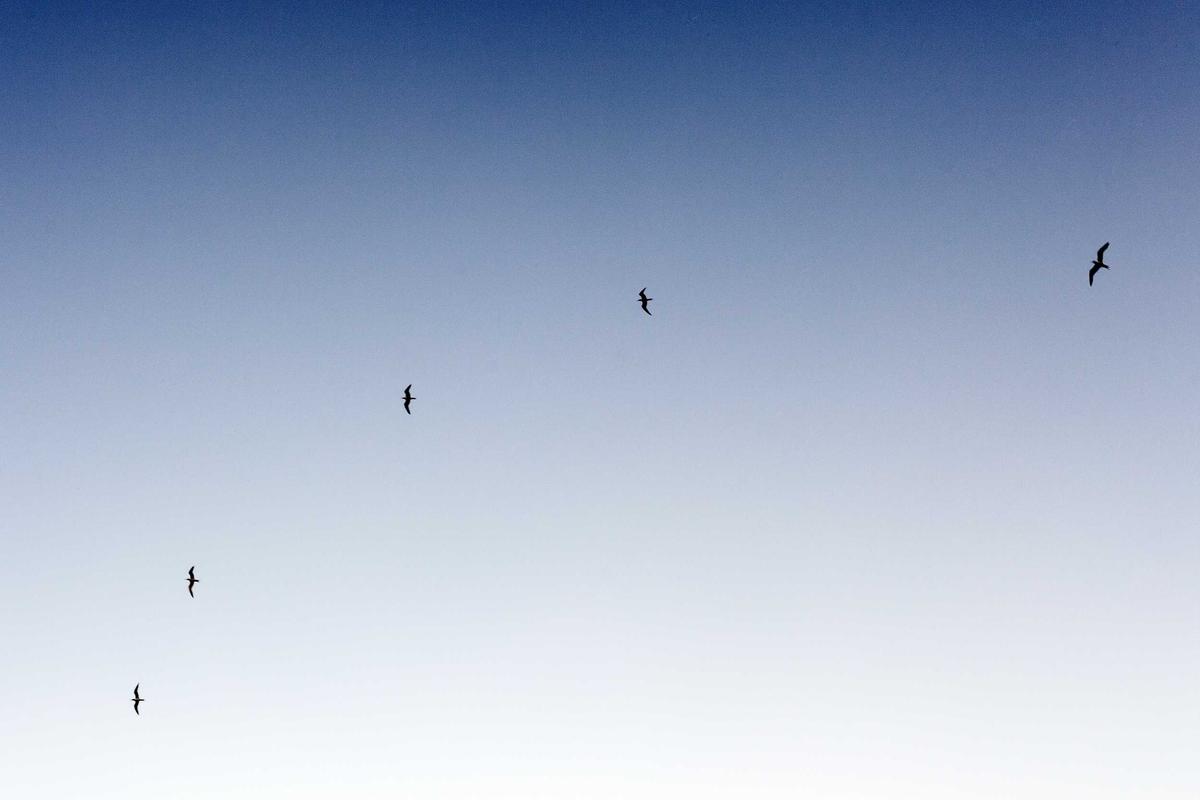 COMPARING HEDGEFOLLOW TO OTHER INVESTMENT TRACKING PLATFORMS