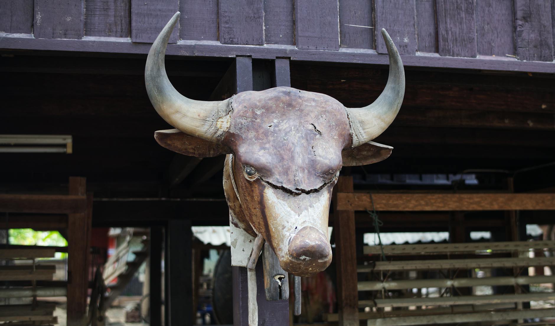 How Does Bear Bull Traders Generate Revenue?