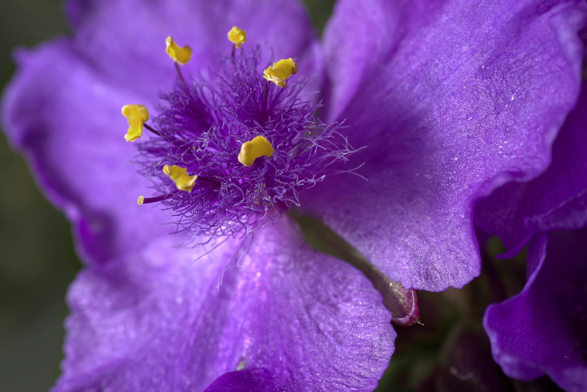 How Much Does Yahoo Finance Plus Actually Cost?