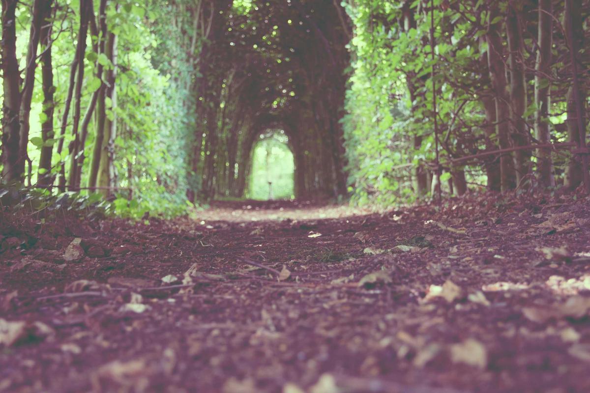 Morning Brew's Revenue and Subscriber Growth