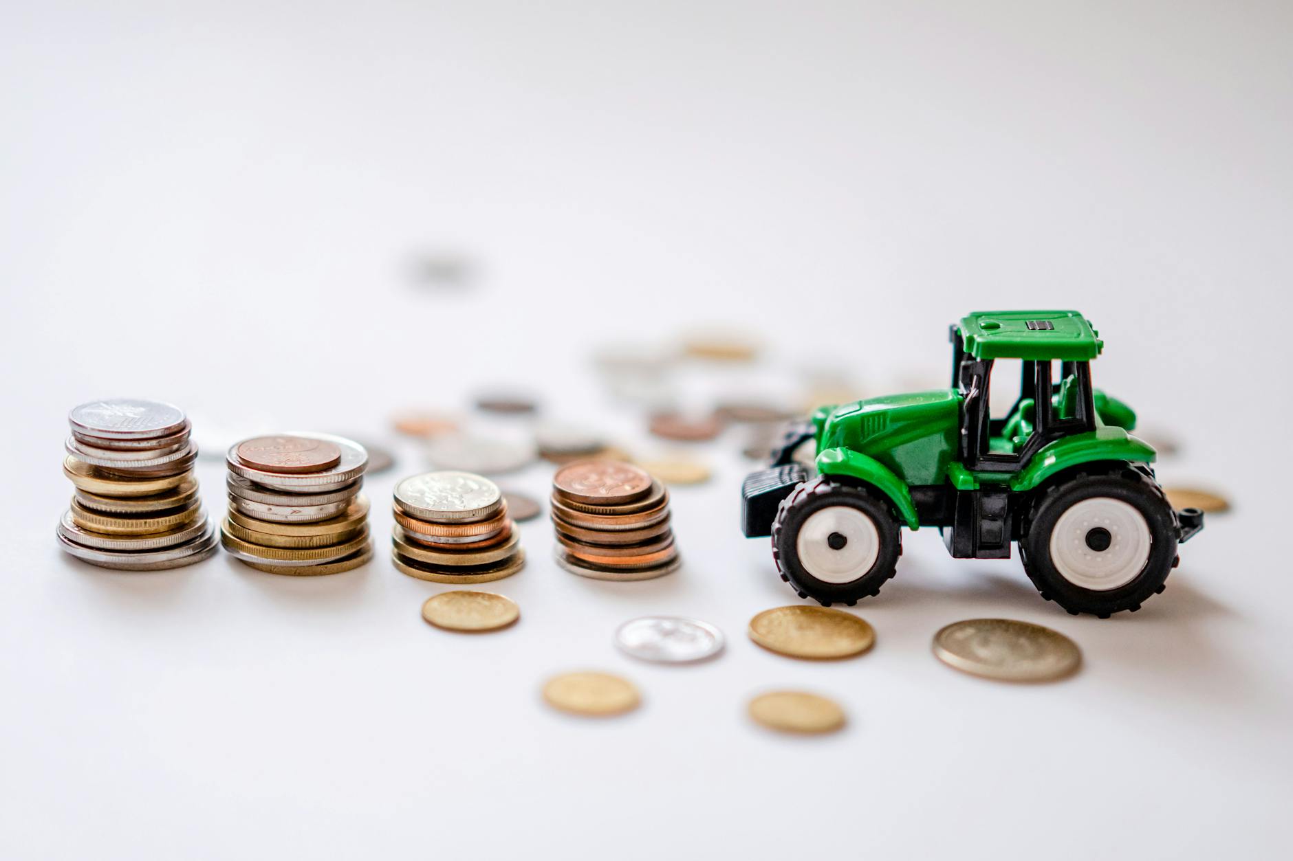 Revenue Model and Profitability Factors
