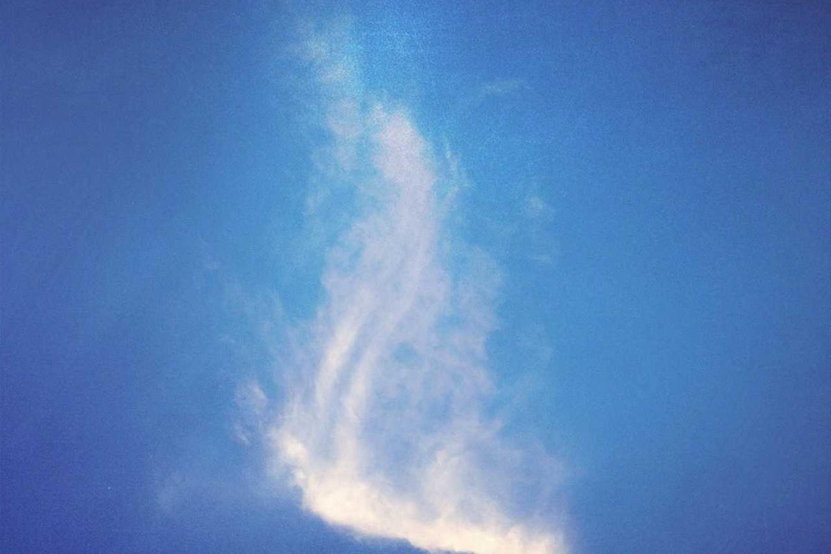 The Risk of Valuation Estimates for Defunct Companies