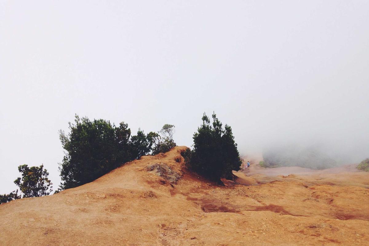 The Secondary Market Signal and What It Tells Us