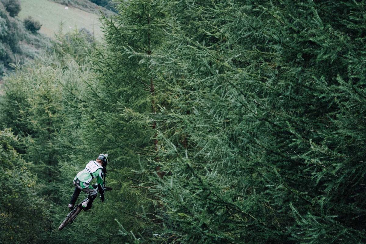 THE USER BASE AND INVESTMENT PROFESSIONAL ECOSYSTEM