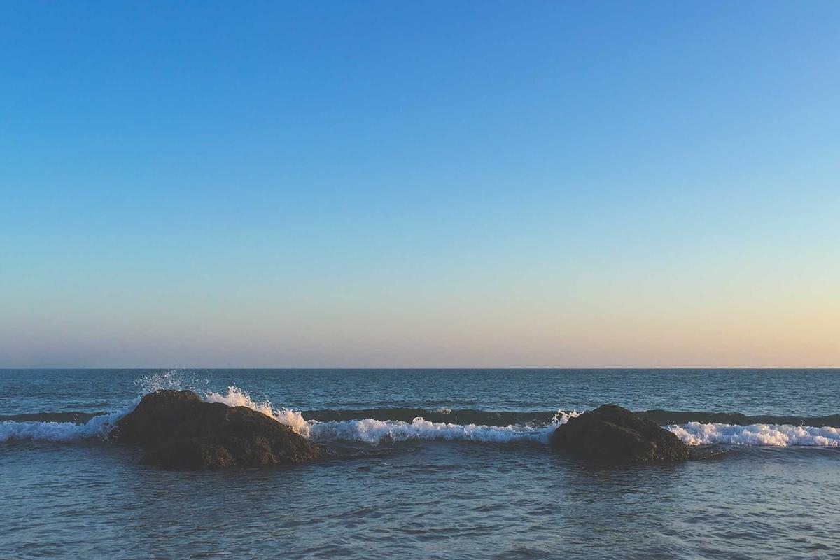 What Dataroma Actually Offers and Why It Matters