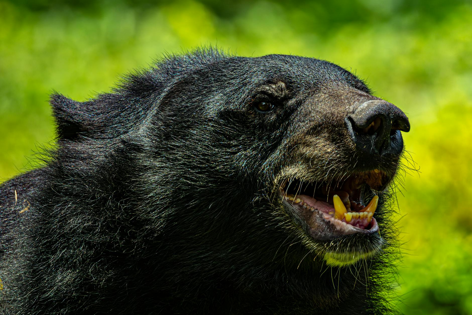 What Did Schwab StreetSmart Cost When It Was Active?