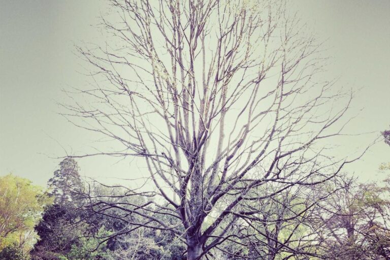 What Is HedgeFollow Worth? - Featured image