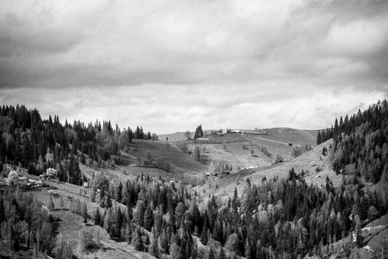 What Is Insider Monkey Worth? - Featured image