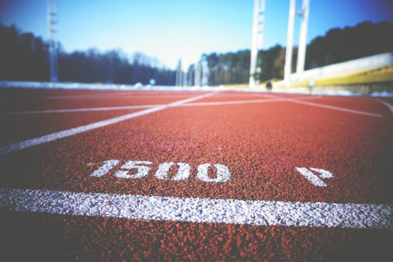 What Is Robintrack Worth? - Featured image