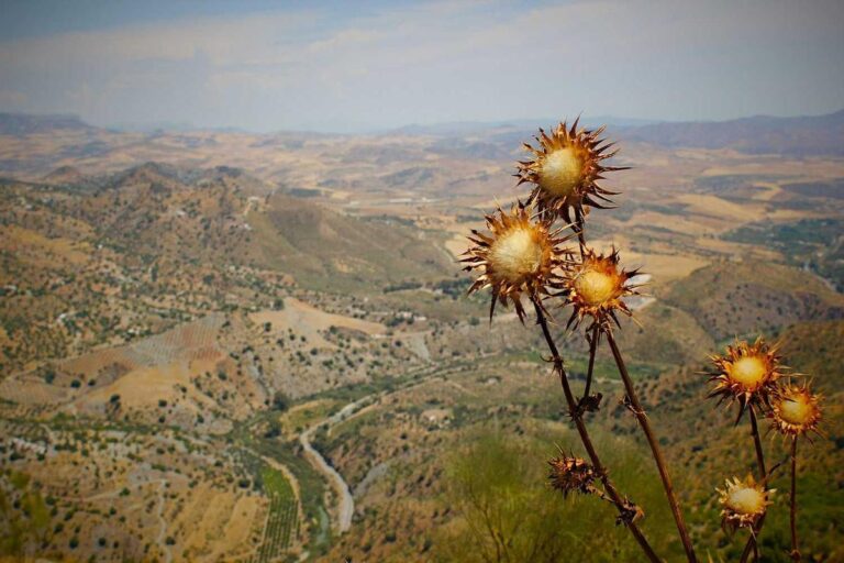 What Is Seeking Alpha Premium Worth? - Featured image