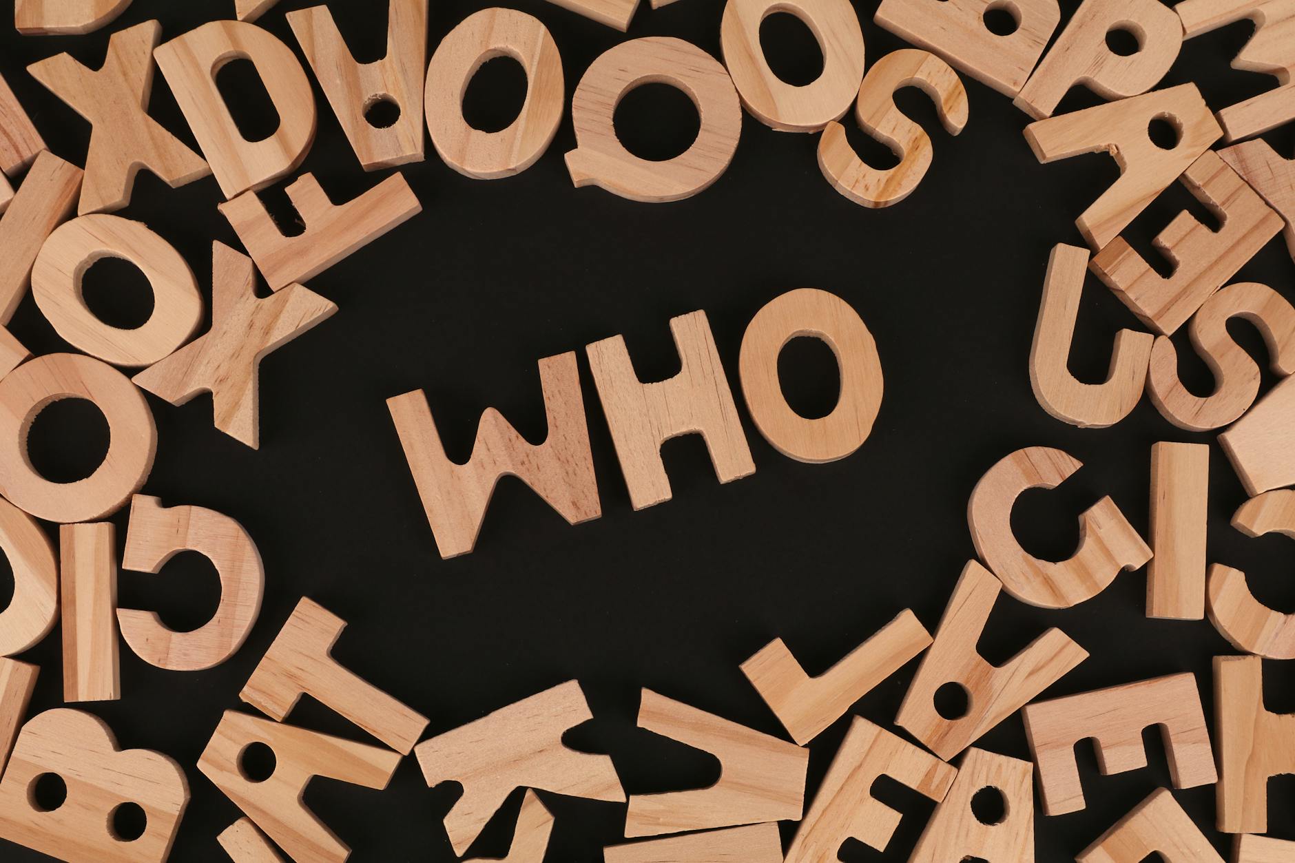 WHO OWNS TOKEN TERMINAL AND WHEN WAS IT FOUNDED?