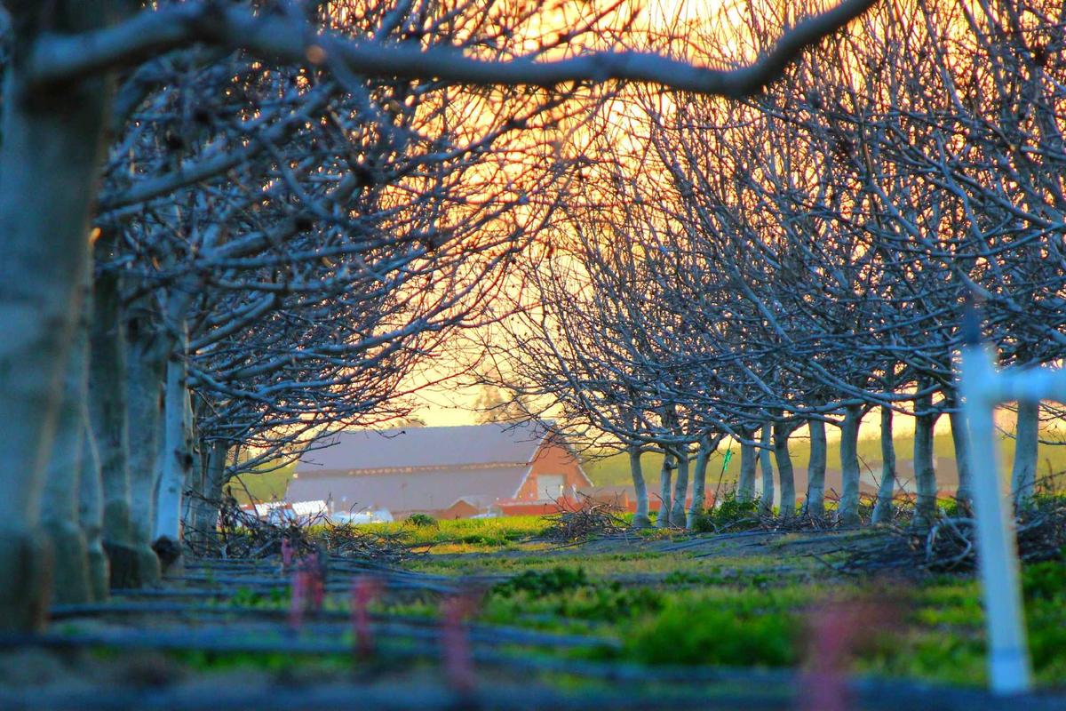 Why Is StockAnalysis.com's Valuation Not Public?