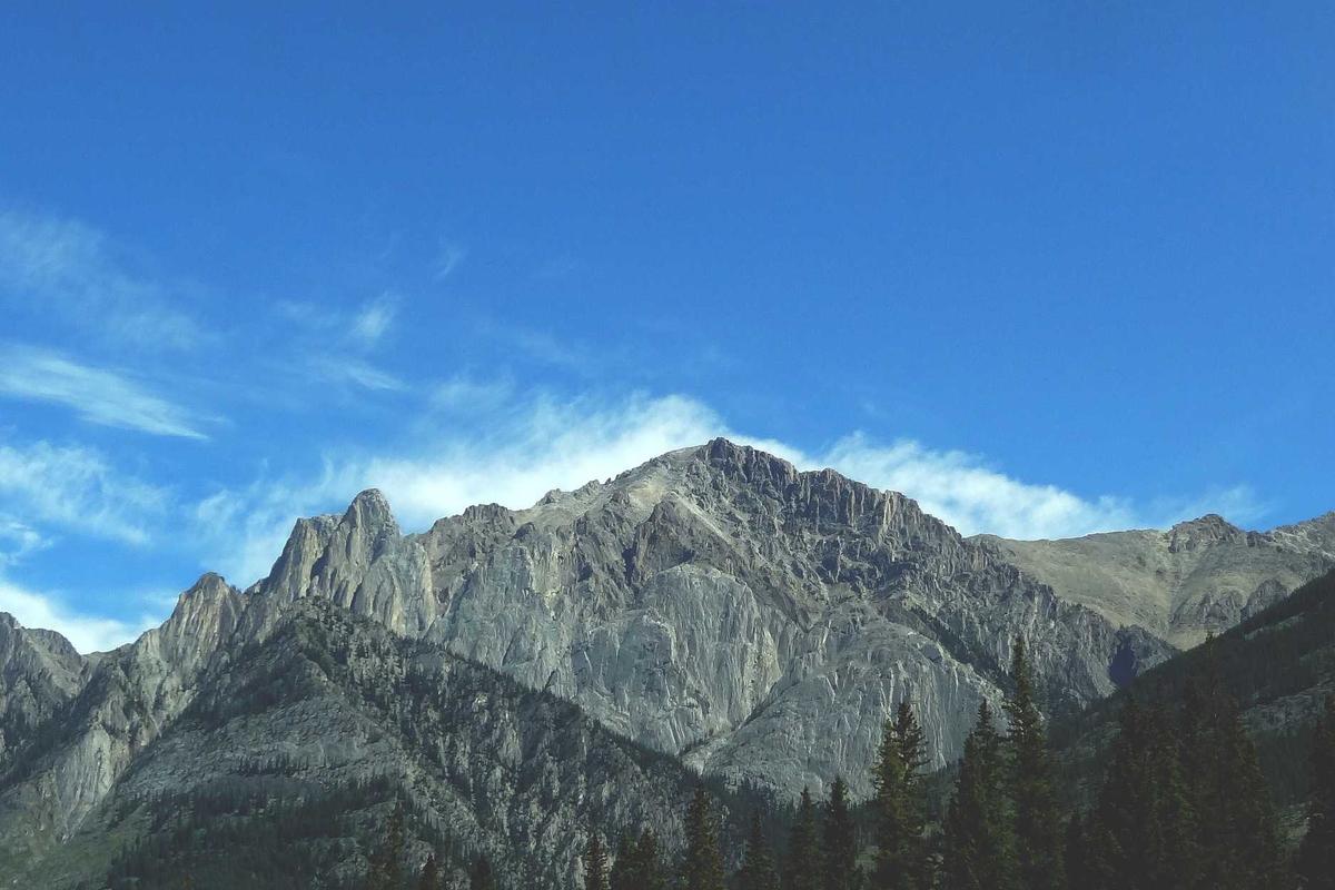 Why Isn't Portfolio Visualizer's Valuation Public?