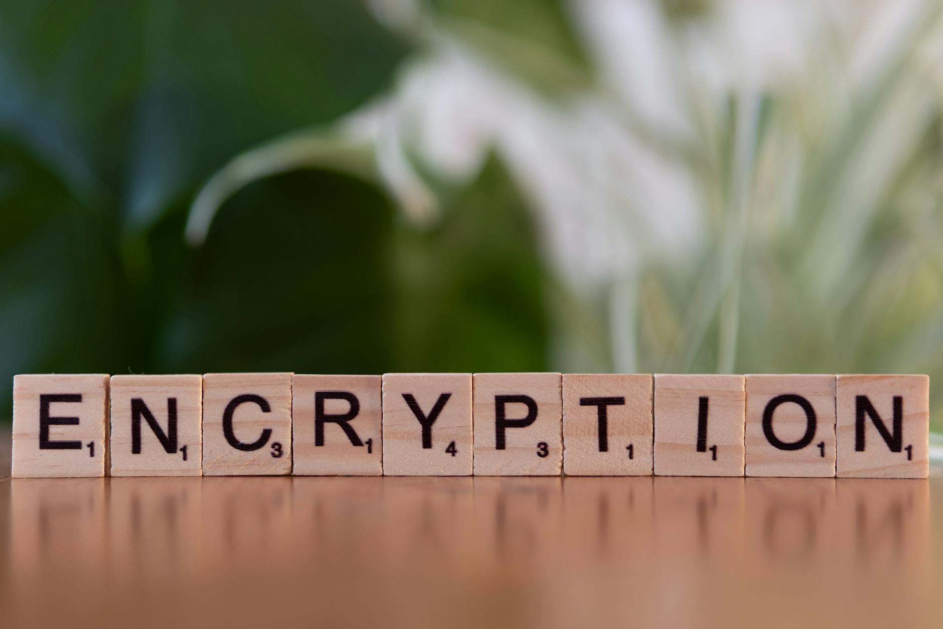 Celebrity Privacy and Security Practices